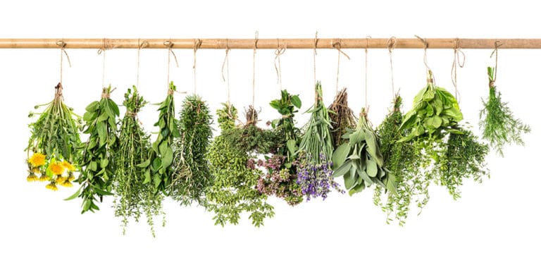 herbs
