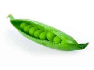 pea pod