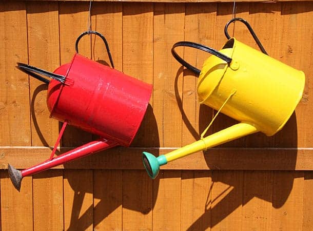 watering-can