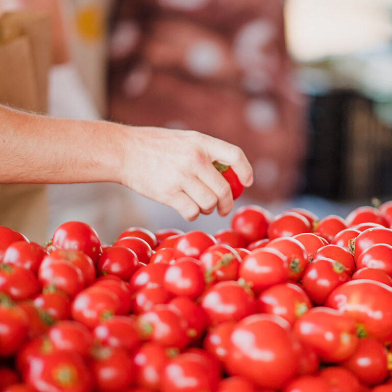 tomatoes - millionaire F1