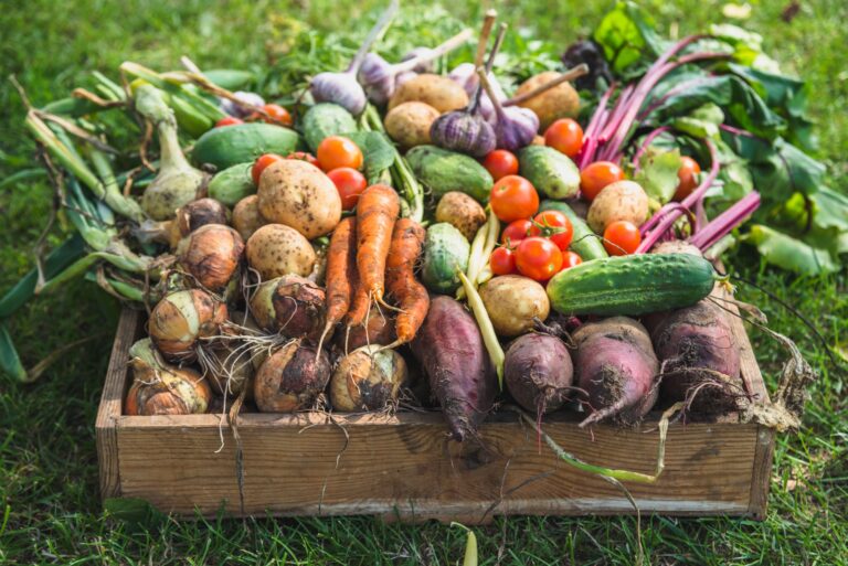 vegetables